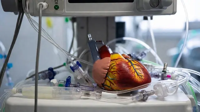 دندانپزشکی بیماران CABG و استنت